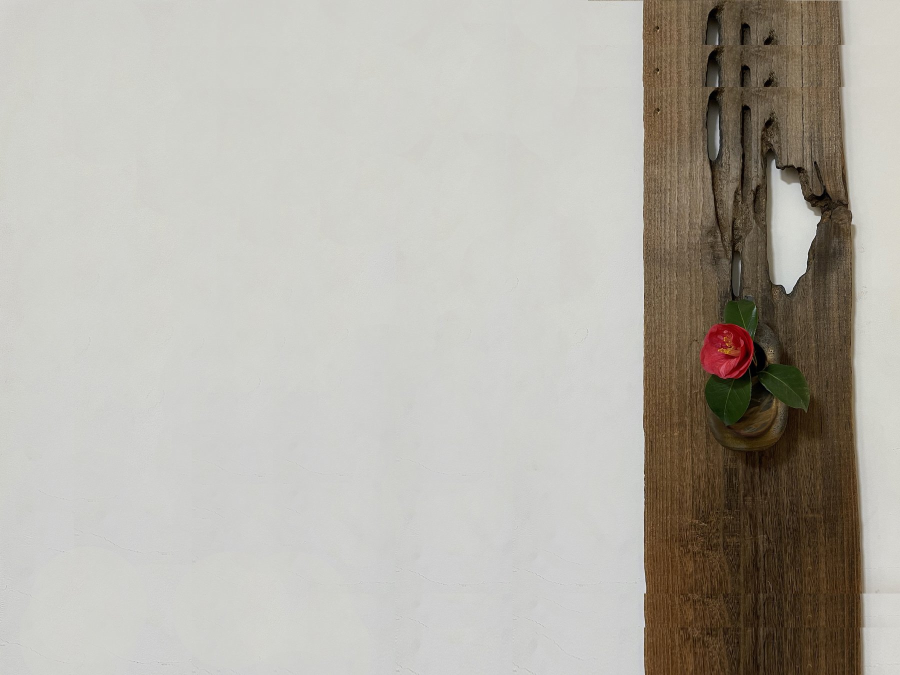 本條流 — 本條流